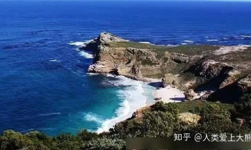 紫鹃茶的口感、紫茶与紫鹃有什么区别 -紫茶与紫鹃茶的区别网